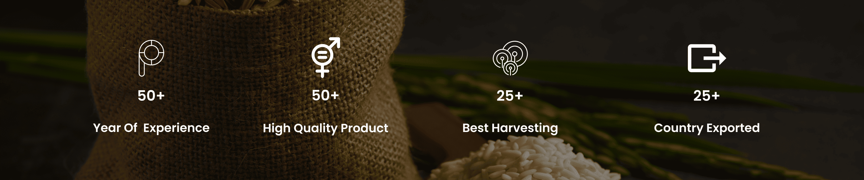 XXXL Rice Product Page