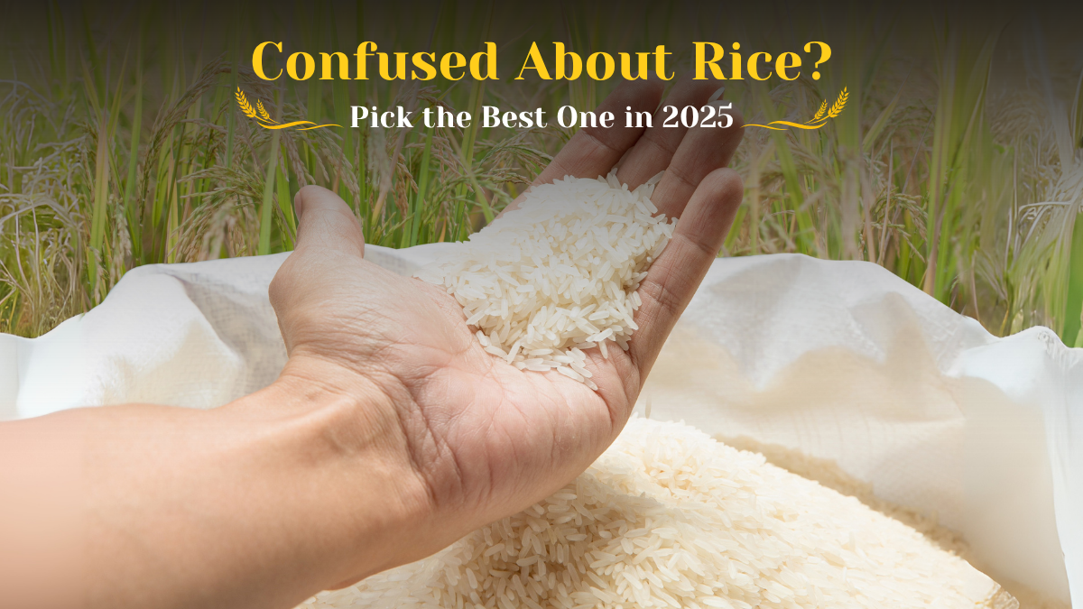 Best Rice in 2025: Kiloi Rice