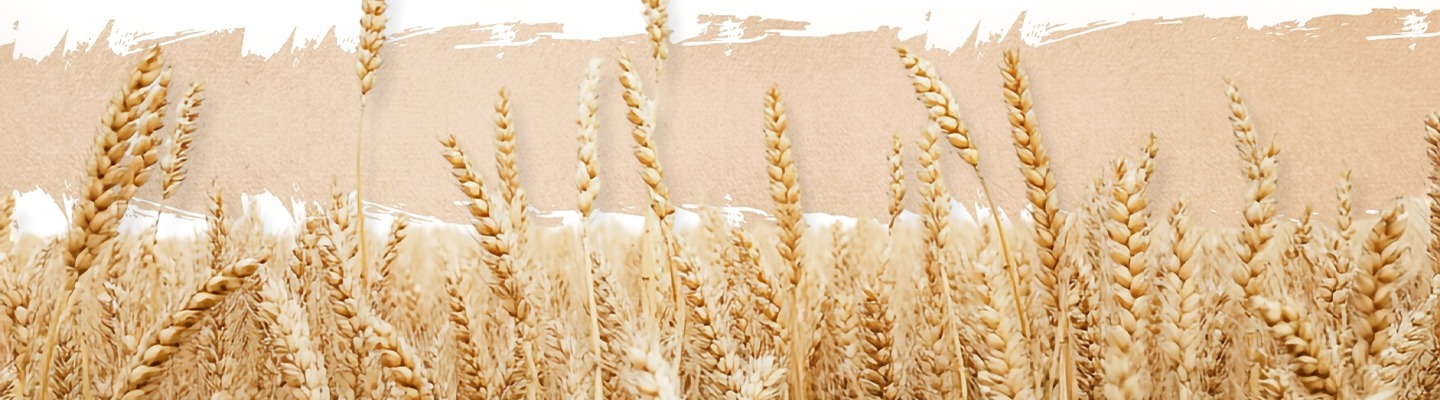 XXXL Rice Product Page